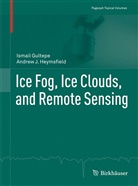 Ismai Gultepe, Ismail Gultepe, Andrew J Heymsfield, Andrew J. Heymsfield, Ismai Gultepe, Ismail Gultepe... - Ice Fog, Ice Clouds, and Remote Sensing