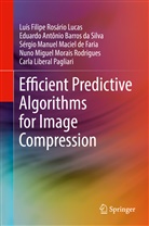 Eduard Barros da Silva, Eduardo Antônio Barros da Silva, Sérgio Manuel Maciel de Faria, Carla Liberal Pagliari, Luís Filipe Rosário Lucas, Sérgio Manuel Maciel de Faria... - Efficient Predictive Algorithms for Image Compression