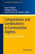 Anna M. Bigatti, Anna Maria Bigatti, Philipp Gimenez, Philippe Gimenez, Eduardo Sáenz-de-Cabezón - Computations and Combinatorics in Commutative Algebra