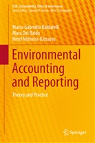 Maria-Gabriell Baldarelli, Maria-Gabriella Baldarelli, Mara del Baldo, Mar Del Baldo, Mara Del Baldo, Neshev... - Environmental Accounting and Reporting