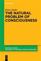 Pietro Snider - The Natural Problem of Consciousness