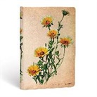 Paperblanks - Artikeltemplate