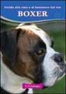 C. P. Gallagher - Boxer