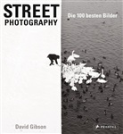 David Gibson - Street Photography: Die 100 besten Bilder