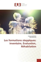 Adel Boussaid, Fatim Djaballah, Fatima Djaballah - Les formations steppiques: Inventaire, Évaluation, Réhabilation