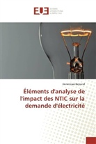 Dominique Beyrand - Éléments d'analyse de l'impact des NTIC sur la demande d'électricité