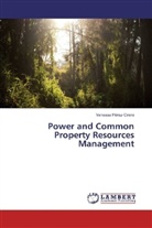 Vanessa Pérez-Cirera - Power and Common Property Resources Management