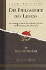 Heinrich Rickert - Die Philosophie des Lebens