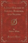Walter White - A July Holiday in Saxony, Bohemia, and Silesia (Classic Reprint)
