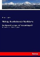 Robert Hartig - Wichtige Krankheiten der Waldbäume