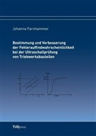 Johanna Farnhammer - Bestimmung und Verbesserung der Fehlerauffindwahrscheinlichkeit bei der Ultraschallprüfung von Triebwerksbauteilen