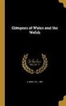 R. E. Williams, R. E. Rev Williams - Glimpses of Wales and the Welsh