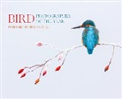 Bird Photographer of the Year - Bird Photographer of the Year