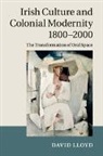 David Lloyd - Irish Culture and Colonial Modernity 1800-2000