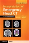 Erskine Holmes, Erskine J Holmes, Erskine J. Holmes, Erskine J. Misra Holmes, Holmes Erskine J., Dr. Rakesh R. Misra... - Interpretation of Emergency Head CT 2nd edition