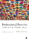 Peter Jenkins - Professional Practice in Counselling and Psychotherapy