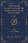 C. G. Jung - Jahrbuch Für Psychoanalytische Und Psychopathologische Forschungen, Vol. 3: I. Hälfte (Classic Reprint)