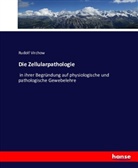 Rudolf Virchow - Die Zellularpathologie