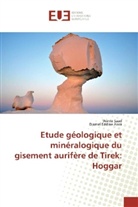 Djamel Eddine Aissa, Ward Saad, Warda Saad - Etude géologique et minéralogique du gisement aurifère de Tirek: Hoggar