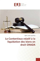 Lydie Lionel Lippe Bika - Le Contentieux relatif à la liquidation des biens en droit OHADA