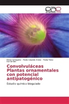 Mario Eduard Arena, Mario Eduardo Arena, Elen Cartagena, Elena Cartagena, M Hernández, María Pérez Hernández - Convolvuláceas Plantas ornamentales con potencial antipatogénico