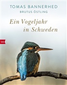 Toma Bannerhed, Tomas Bannerhed, Brutus Östling - Ein Vogeljahr in Schweden