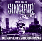David Black, Thomas Balou Martin - Sinclair Academy, 2 Audio-CDs (Hörbuch)