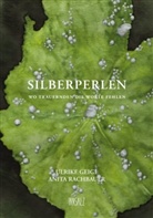 Ulrike Geigl, Anita Rachbauer - Silberperlen