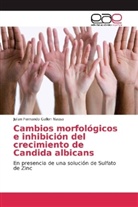 Julian Fernando Gallon Nausa - Cambios morfológicos e inhibición del crecimiento de Candida albicans