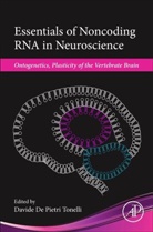Davide De Pietri Tonelli, Davide De Pietri (EDT) Tonelli, Davide De Pietri Tonelli, Davide De Pietri Tonelli, Davide de Pietri Tonelli - Essentials of Noncoding Rna in Neuroscience