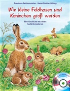 Hans-Günther Döring, Friederun Reichenstetter, Hans-Günther Döring - Kleine Feldhasen und Kaninchen werden groß, m. Audio-CD