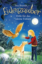 Ina Brandt, Irene Mohr, Irene Mohr - Eulenzauber - Hilfe für das kleine Fohlen