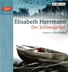 Elisabeth Herrmann, Eva Mattes - Der Schneegänger, 1 Audio-CD, 1 MP3 (Hörbuch)