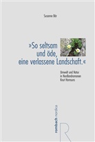 Susanne Bär - "So seltsam und öde, eine verlassene Landschaft."