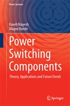 Kave Niayesh, Kaveh Niayesh, Magne Runde - Power Switching Components