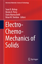 Sean Bishop, Sean R. Bishop, Nicol H Perry, Nicola H Perry, Dario Marrocchelli, Dario Marrocchelli et al... - Electro-Chemo-Mechanics of Solids
