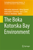Mirk Djurovic, Mirko Djurovic, Mirko Djurović, Aleksandar Joksimovic, Aleksandar Joksimović, Andrey G. Kostianoy... - The Handbook of Environmental Chemistry - 54: The Boka Kotorska Bay Environment