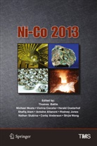 Shafiq Alam, Antoine Allanore, Corby Anderson, Thomas Battle, Violina Cocalia, Violina Cocalia et al... - Ni-Co 2013