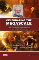Geoffrey Brooks, Geoffrey A. Brooks, Eri Grimsey, Eric Grimsey, Eric J. Grimsey, Rodney Jones... - Celebrating the Megascale