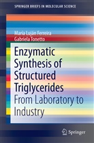 María Lujá Ferreira, María Luján Ferreira, María Luján Ferreira, Gabriela Tonetto, Gabriela Marta Tonetto - Enzymatic Synthesis of Structured Triglycerides