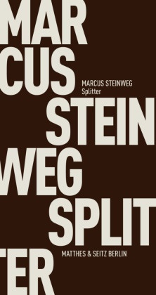 Marcus Steinweg - Splitter