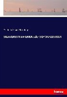 Friedrich Armand Strubberg - SKLAVEREI IN AMERIKA oder SCHWARZES BLUT