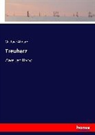 Gustave Aimard - Treuherz