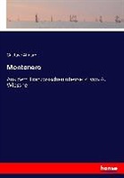 Gustave Aimard - Montonero