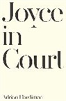 Adrian Hardiman, Hardiman Adrian - Joyce in Court