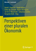 Robert Birnbaum, Sebastian Gießler, David Johannes Petersen u a, Esther M Schmitt u a, Jan H. E. Meyerhoff, Jan Heinrich Ernst Meyerhoff... - Perspektiven einer pluralen Ökonomik