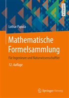 Lothar Papula - Mathematische Formelsammlung