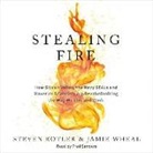 Steven Kotler, Jamie Wheal, Fred Sanders - Stealing Fire: How Silicon Valley, the Navy SEALs, and Maverick Scientists Are Revolutionizing the Way We Live and Work (Audio book)