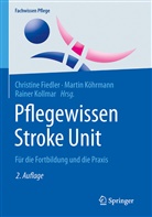 Christine Fiedler, Marti Köhrmann, Martin Köhrmann, Marti Köhrmann (Prof. Dr. med.), Martin Köhrmann (Prof. Dr. med.), Rainer Kollmar... - Pflegewissen Stroke Unit