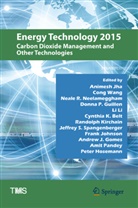 Cynthia Belt, Andrew Gomes, Donna Guillen, Peter Hosemann, Animesh Jha, Frank Johnson... - Energy Technology 2015
